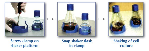 Shaker Flask Clamp